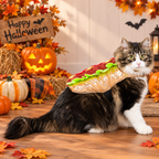 Halloween Hot Dog Costume
